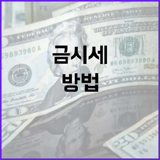 금시세를 이해하고 활용하는 방법 - 요약