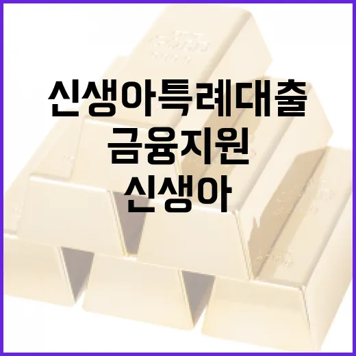 신생아 특례대출로 금융 지원 받는 방법 - 요약