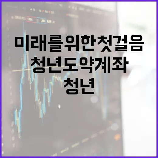 청년도약계좌를 활용하는 방법: 미래를 위한 첫걸음 - 요약