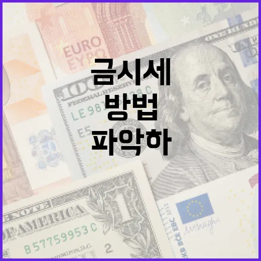 금시세를 효과적으로 파악하는 방법 - 요약