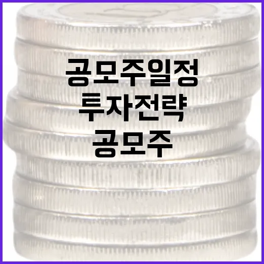 공모주 일정 확인하는 방법과 투자 전략 - 요약