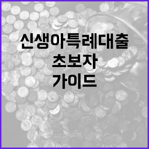 신생아 특례대출을 받는 방법: 초보자를 위한 가이드 - 요약