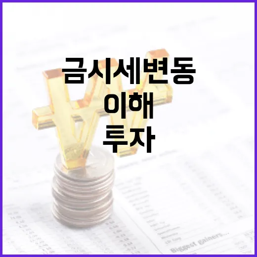 금시세 변동을 이해하고 투자하는 방법 - 요약