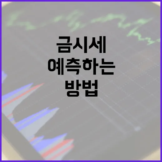 금시세를 이해하고 예측하는 방법 - 요약