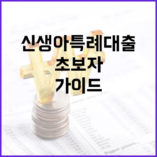 신생아 특례대출을 받는 방법: 초보자를 위한 가이드 - 요약