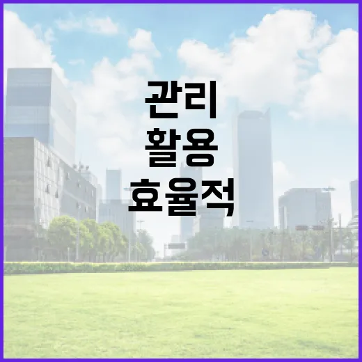 엑스비스를 활용하여 효율적으로 프로젝트 관리하는 방법 - 요약