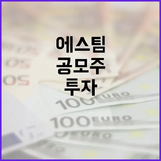 에스팀 공모주 투자하는 방법: 초보자를 위한 가이드 - 요약