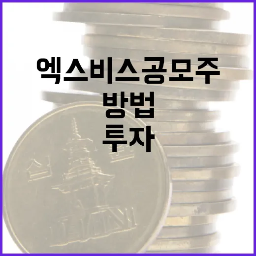 엑스비스 공모주에 투자하는 방법 - 요약