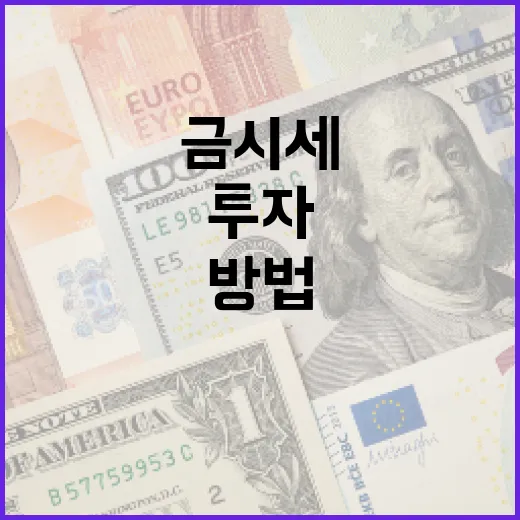 금시세를 이해하고 투자하는 방법 - 요약