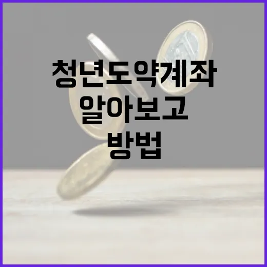 청년도약계좌에 대해 알아보고 시작하는 방법 - 요약