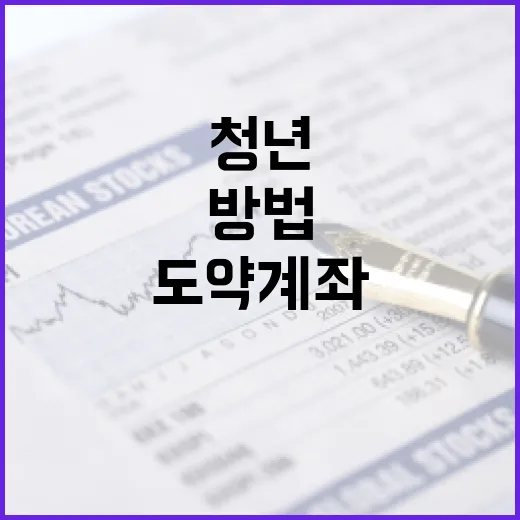 청년도약계좌를 활용하여 재정 계획 세우는 방법 - 요약