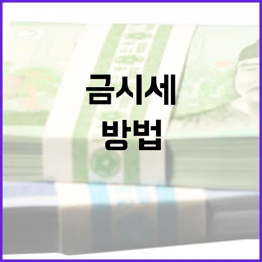 금시세를 이해하고 활용하는 방법 - 요약