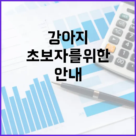 강아지 보험 선택하는 방법: 초보자를 위한 안내 - 요약