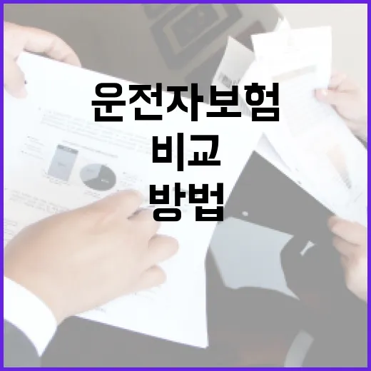 운전자보험비교사이트를 효과적으로 활용하는 방법 - 요약