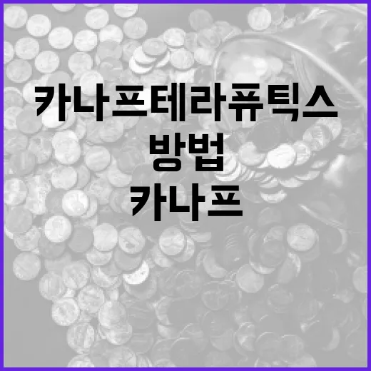 카나프테라퓨틱스를 이해하고 활용하는 방법 - 요약
