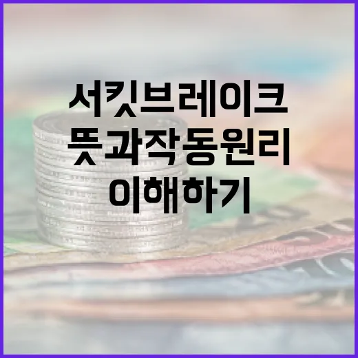 서킷 브레이크의 뜻과 작동 원리 이해하기 - 요약