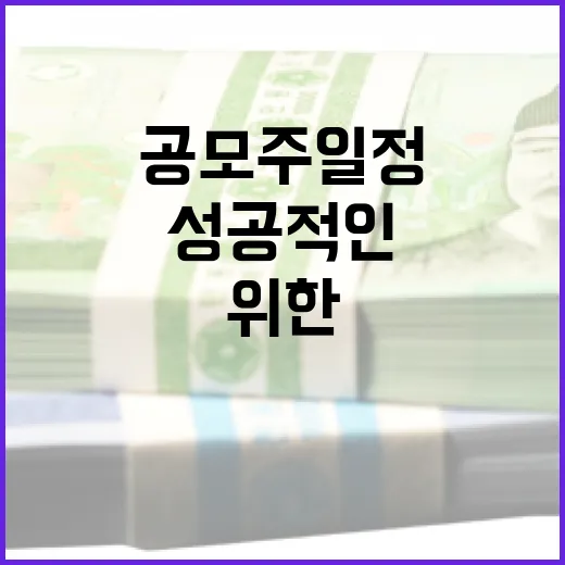 성공적인 투자자를 위한 공모주 일정 관리 방법 - 요약