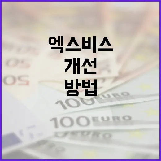 엑스비스를 활용하여 일상 생활을 개선하는 방법 - 요약