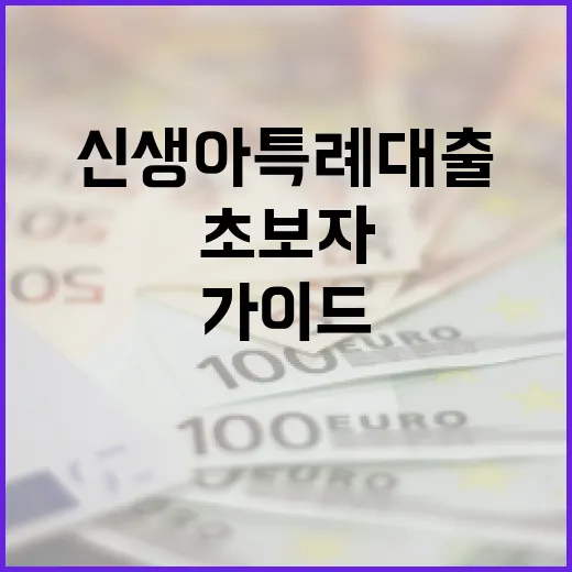 신생아 특례대출을 받는 방법: 초보자를 위한 가이드 - 요약