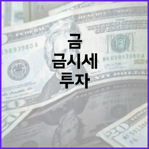 금시세를 이해하고 최적의 투자 방법 찾기 - 요약