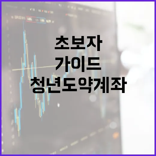청년도약계좌를 시작하는 방법: 초보자 가이드 - 요약