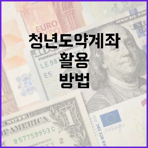 청년도약계좌를 효과적으로 활용하는 방법 - 요약