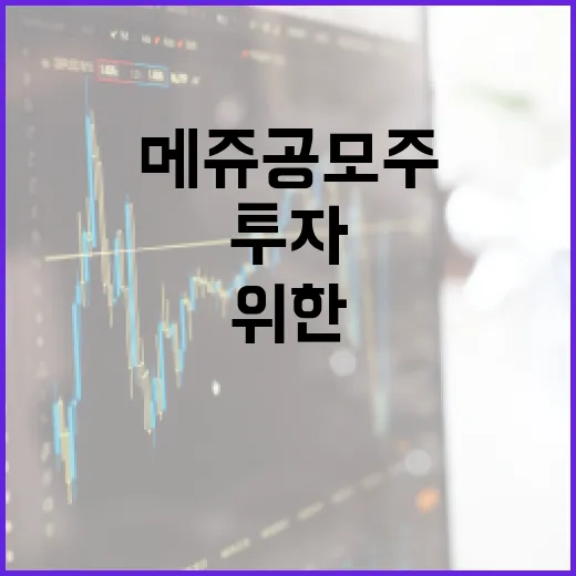 메쥬 공모주 투자하는 방법: 초보자를 위한 가이드 - 요약