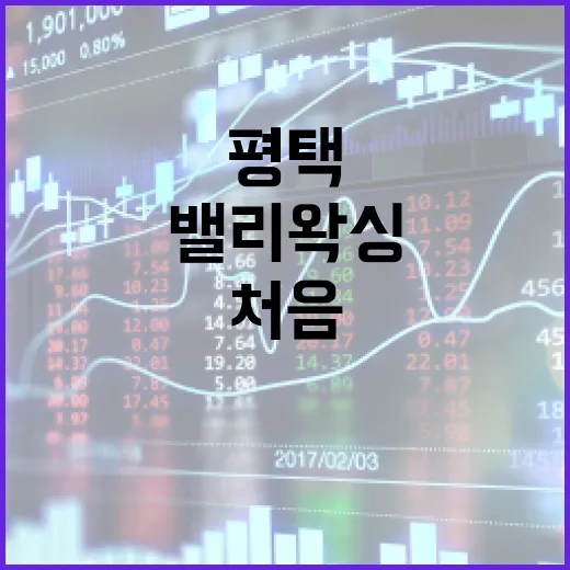 평택에서 밸리왁싱을 처음 시도해보려면 이렇게 준비하세요 - 요약