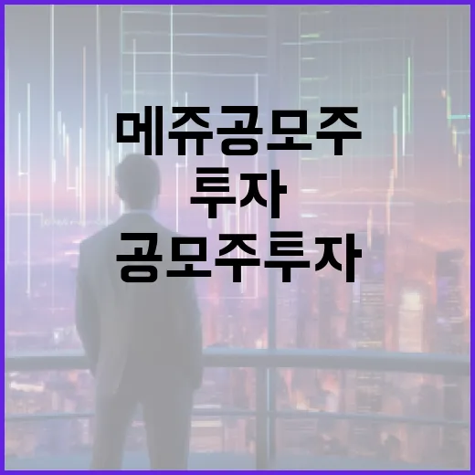 메쥬 공모주 투자하는 방법과 유의할 점 - 요약