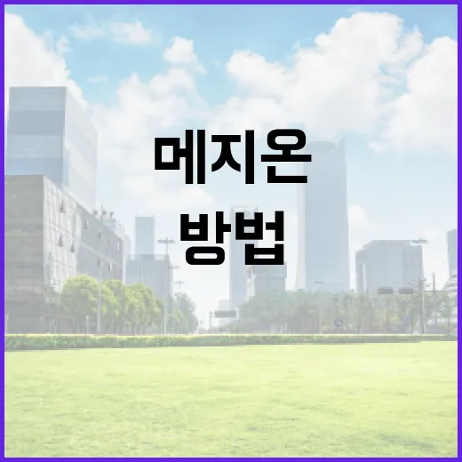 메지온을 이해하고 활용하는 방법 - 요약