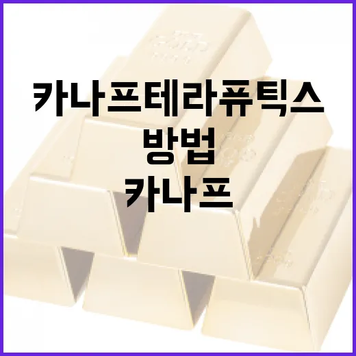 카나프테라퓨틱스를 활용하여 건강을 증진하는 방법 - 요약