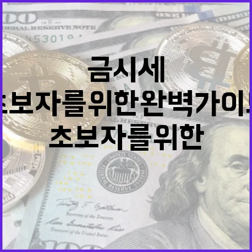 금시세 이해하는 방법: 초보자를 위한 완벽 가이드 - 요약