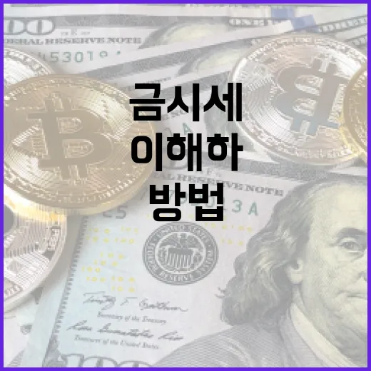 금시세를 이해하고 활용하는 방법 - 요약