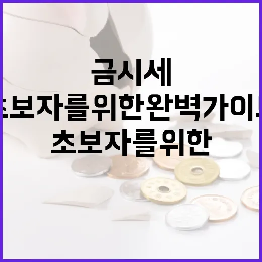 금시세 이해하는 방법: 초보자를 위한 완벽 가이드 - 요약