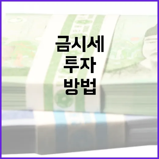 금시세 이해하고 투자하는 방법 - 요약