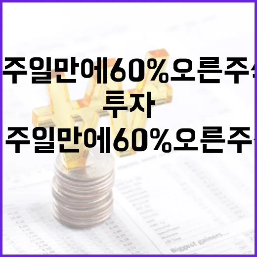 일주일 만에 60% 오른 주식, 이렇게 투자하세요 - 요약