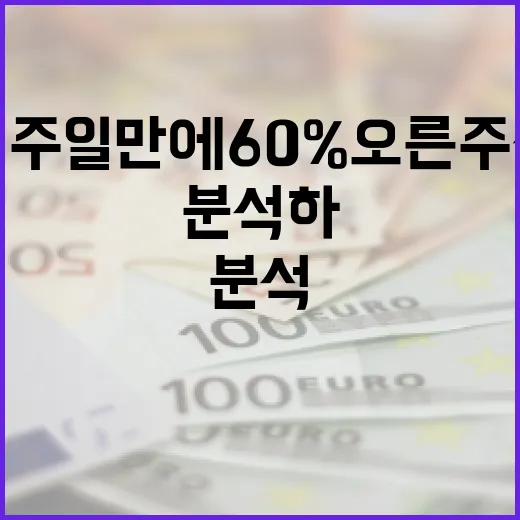 일주일 만에 60% 오른 주식을 분석하는 방법 - 요약