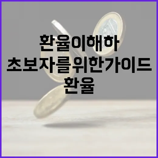 미국환율 이해하는 방법: 초보자를 위한 가이드 - 요약