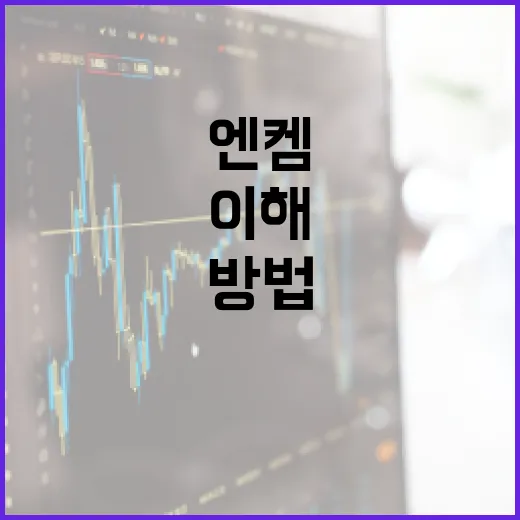 엔켐을 이해하고 활용하는 방법 - 요약