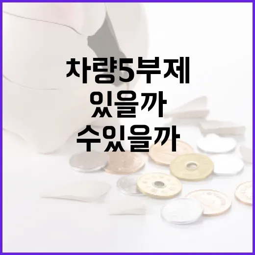 차량 5부제란 무엇이며 어떻게 활용할 수 있을까요? - 요약