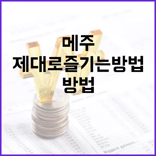 메쥬를 제대로 즐기는 방법 - 요약