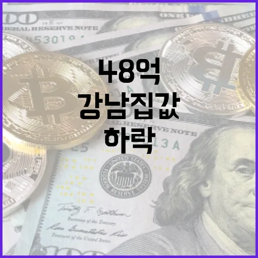 강남 집값 48억 하락의 충격을 이해하는 방법 - 요약