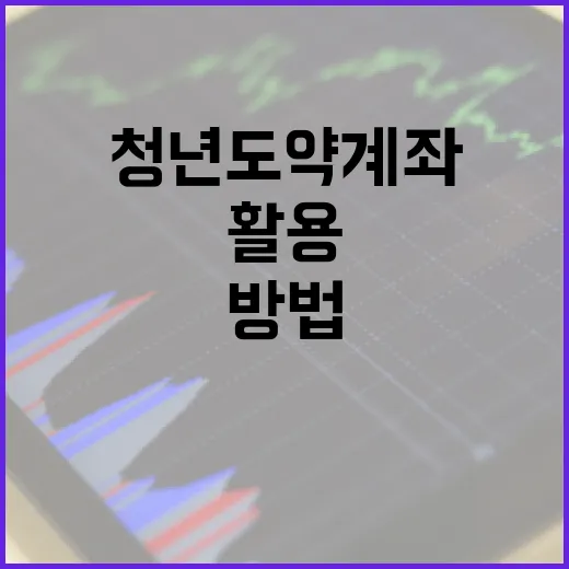 청년도약계좌를 효과적으로 활용하는 방법 - 요약