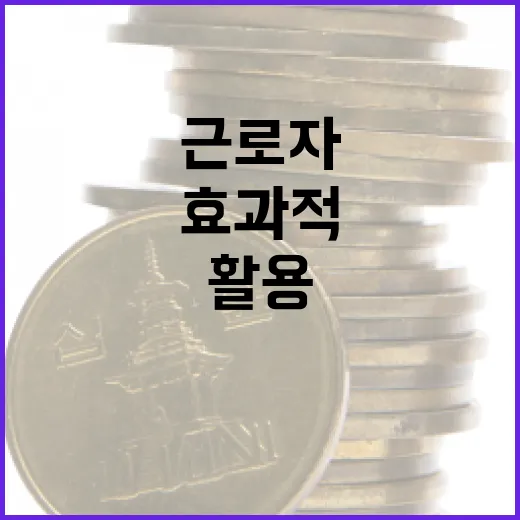 근로자의 날을 효과적으로 활용하는 방법 - 요약