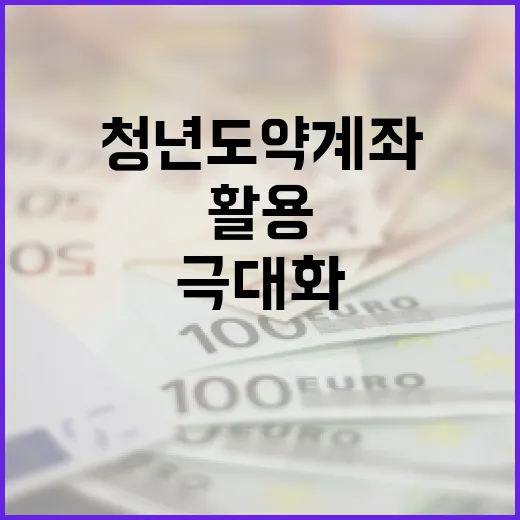 청년도약계좌를 활용하여 저축을 극대화하는 방법 - 요약