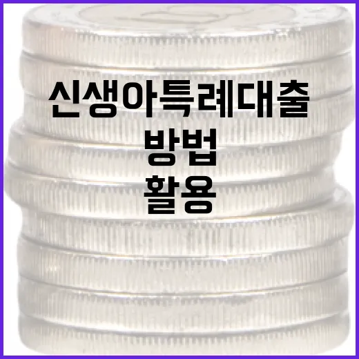 신생아 특례대출을 활용하는 방법 - 요약