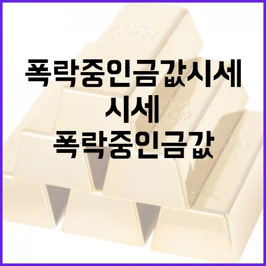 폭락 중인 금값 시세를 이해하고 대처하는 방법 - 요약