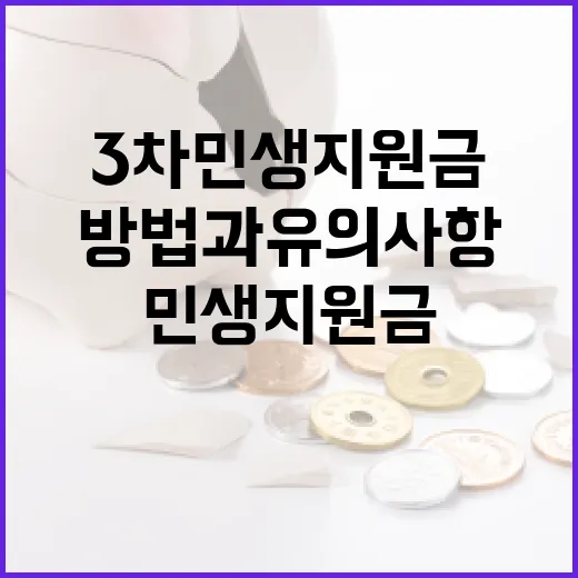 3차 민생지원금을 받는 방법과 유의사항 - 요약