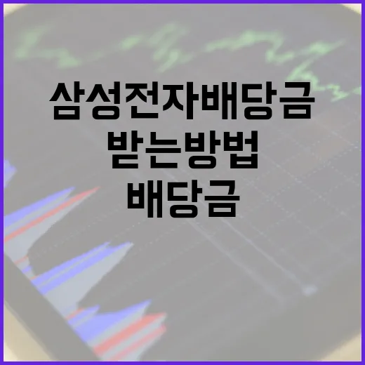 삼성전자 배당금을 효과적으로 받는 방법 - 요약