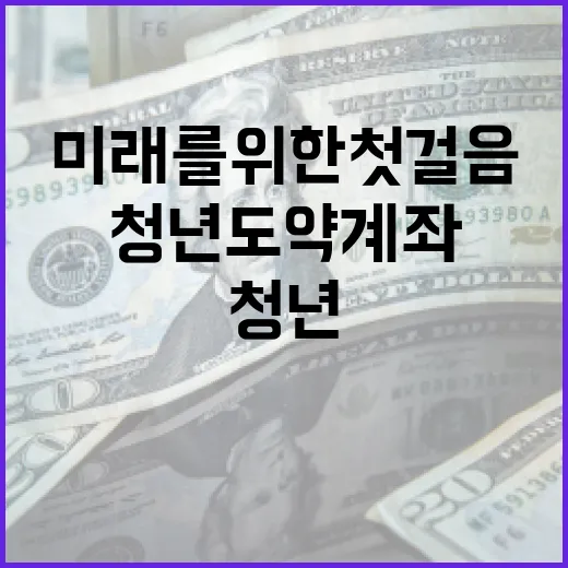 청년도약계좌를 활용하는 방법: 미래를 위한 첫걸음 - 요약